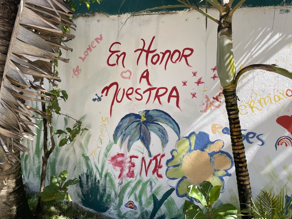 5C6C2360-69DA-4B42-BBD9-5004700CC964_1_105_c